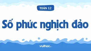 Tuyệt Đỉnh Công Thức Số Phức: Nắm Vững Kiến Thức Toán Học 2026