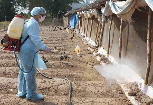Ứng dụng làm thuốc sát trùng của Phenol
