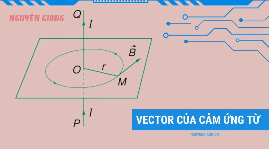 Vector cảm ứng từ và đường sức từ