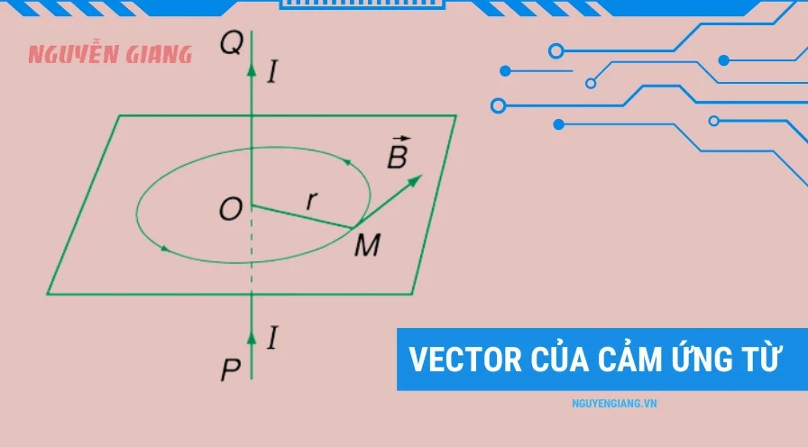Vector của cảm ứng từ