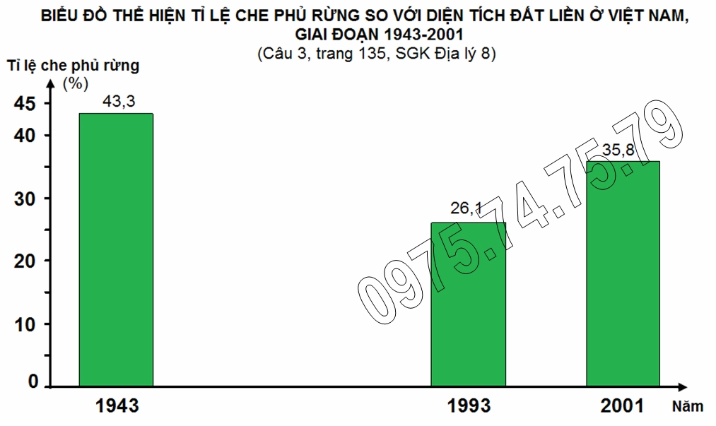 Ví dụ bài tập địa lý liên quan đến tính toán