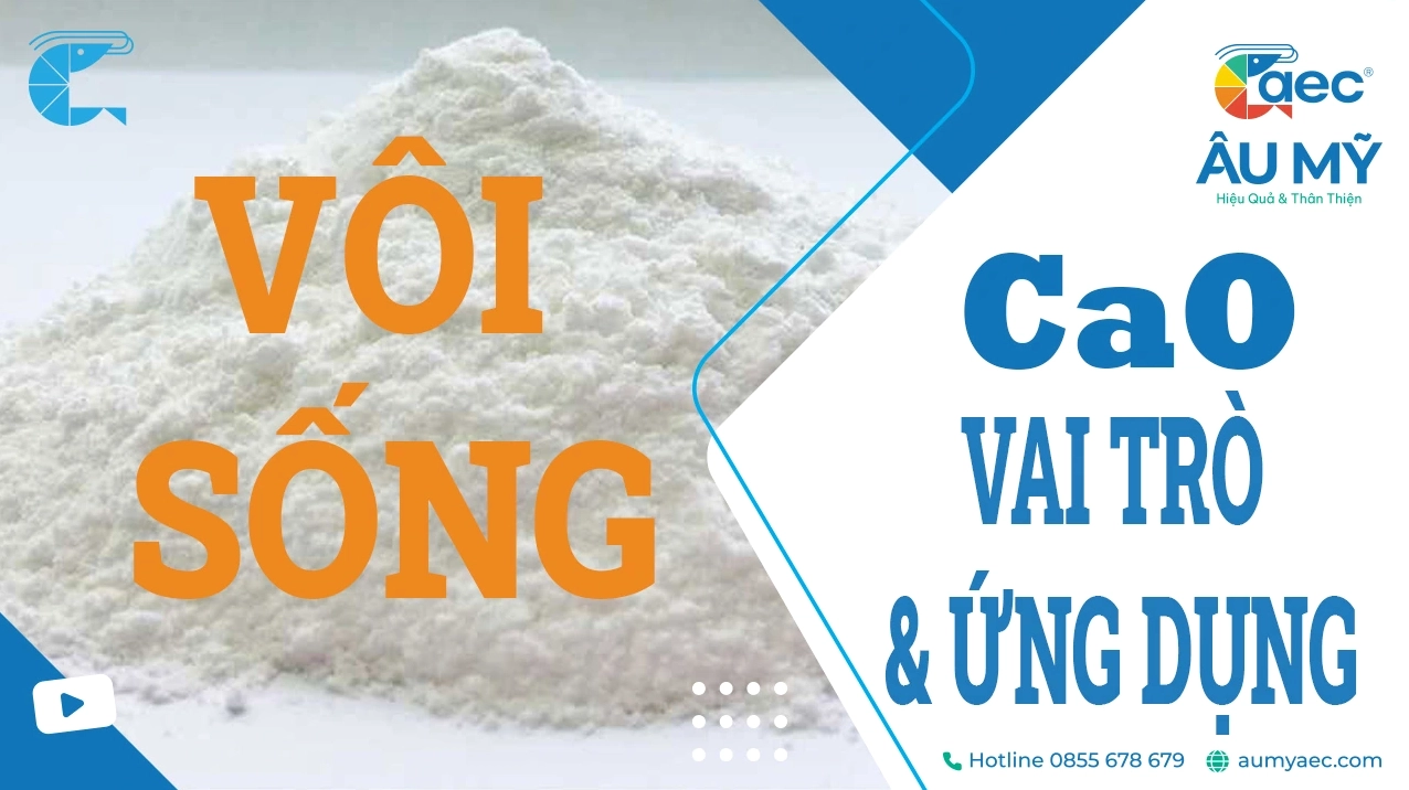 Vôi sống - CaO - Canxi Oxit: Đặc Tính, Vai Trò và Ứng Dụng
