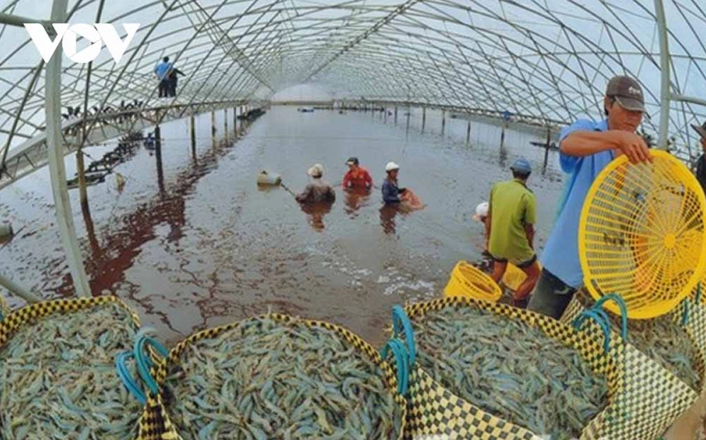 Yếu tố kinh tế - xã hội và năng lượng