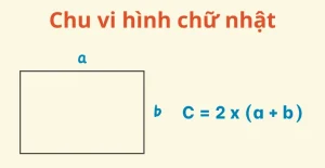 Bật Mí Công Thức Tính Nửa Chu Vi Hình Chữ Nhật Chuẩn Xác Nhất 2026