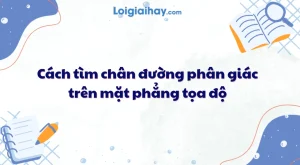 Bí mật công thức tính đường phân giác: Hướng dẫn chi tiết & bài tập