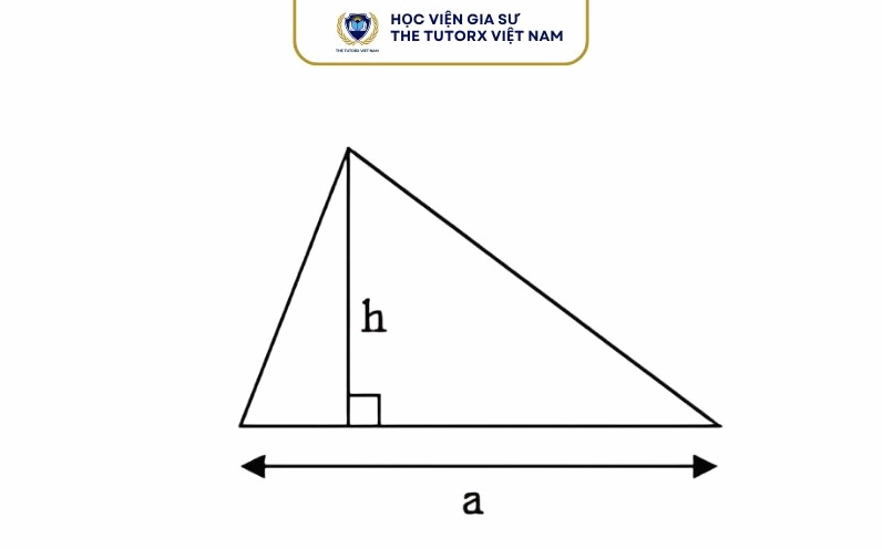 Các yếu tố của tam giác cân