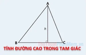 Giải Mã Công Thức Đường Cao Tam Giác Cân: Hiểu Rõ Định Nghĩa & Cách Tính Hiệu Quả 2026