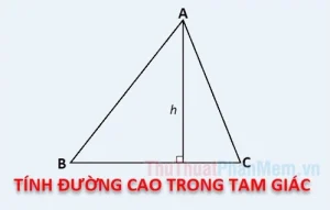 Giải Mã Công Thức Tính Đường Cao Trong Tam Giác Đều Chuẩn Xác 2026