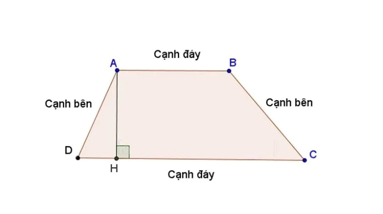 Minh họa công thức tính diện tích hình thang