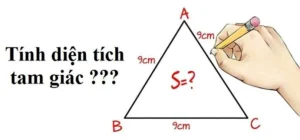 Nắm Vững Công Thức Tính Diện Tích Tam Giác Lớp 5: Bí Quyết Đạt Điểm Cao!
