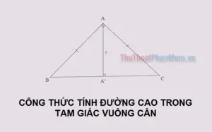 Bí mật công thức tính đường cao tam giác cân: Chuyên gia giải đáp!