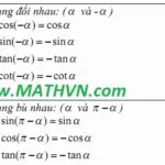 Công Thức Lượng Giác 11 Full: Chinh Phục Mọi Dạng Bài Toán!