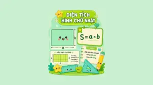 Công thức tính diện tích hình chữ nhật là gì? Hướng dẫn chi tiết & bài tập