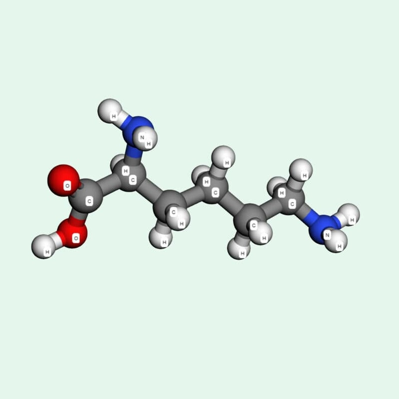 Lysine có trong nhiều loại thực phẩm